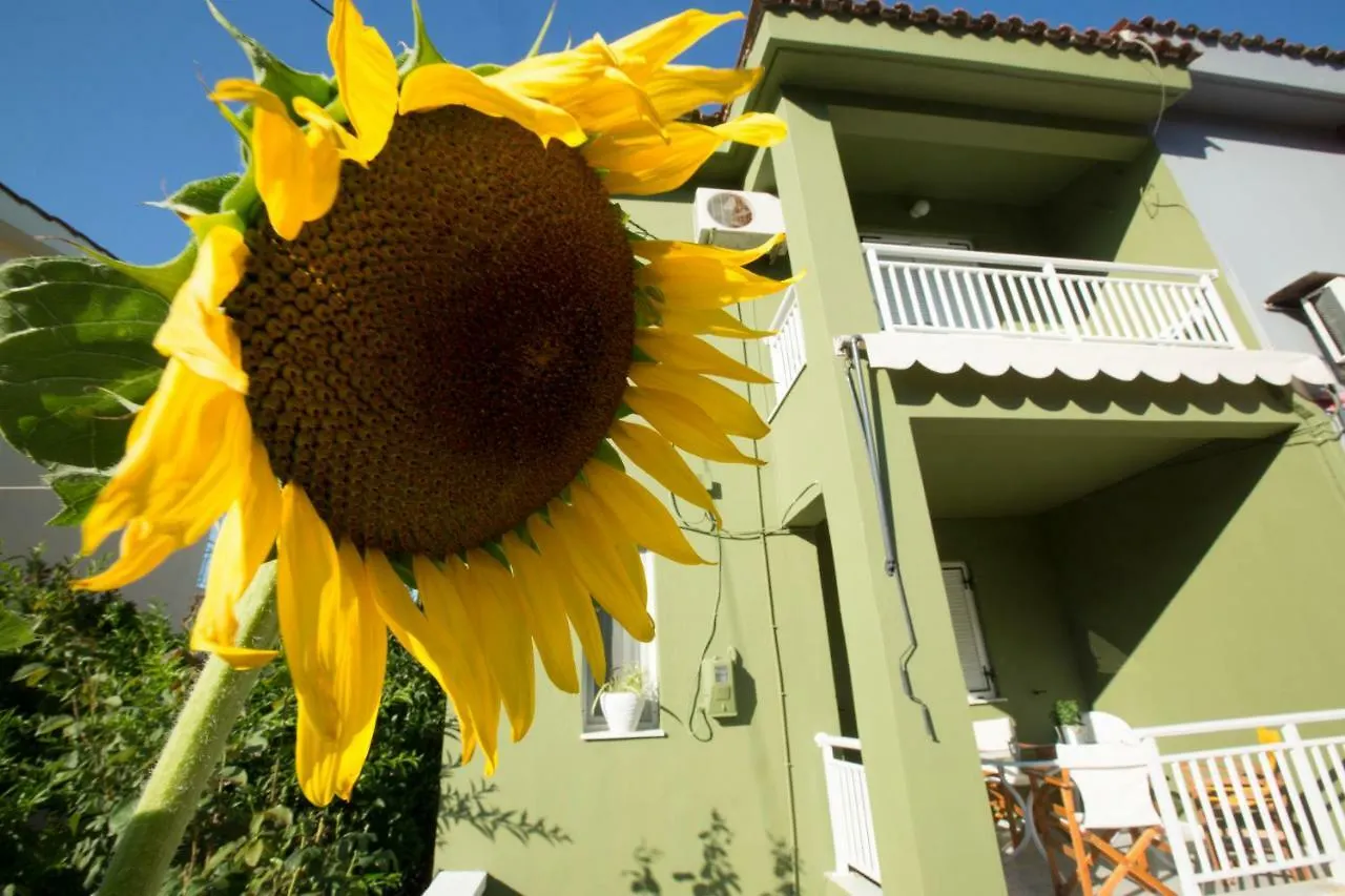 Villa Marietta'S Townhouse Argostoli  Casa vacanze