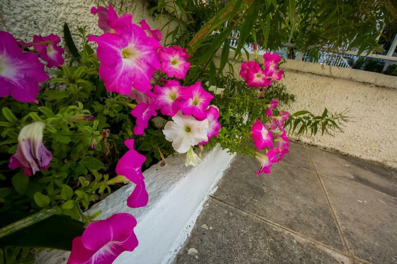 Marietta'S Townhouse Villa Argostoli  Argostoli (Kefalonia)